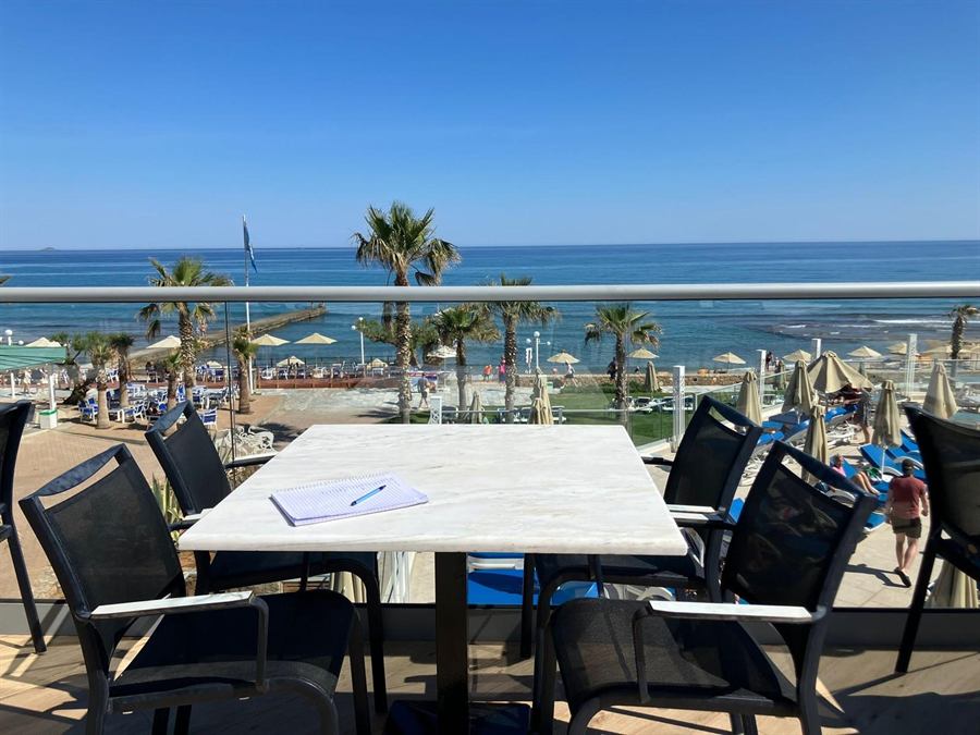 Uitzicht vanaf het terras op de palmbomen, het strand en de zee